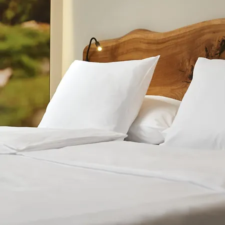 Hotel Orea Horal